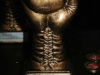 boxeiaia117_006