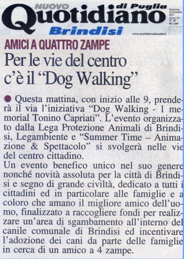 00539 Quotidiano_16-12-2012