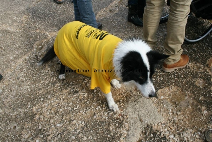 Tuffo_Capodanno15_0065